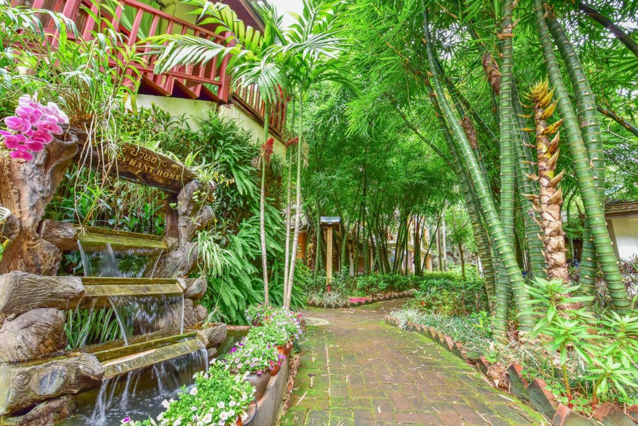 Xishuangbanna Elephant Home Guesthouse Jinghong Eksteriør bilde